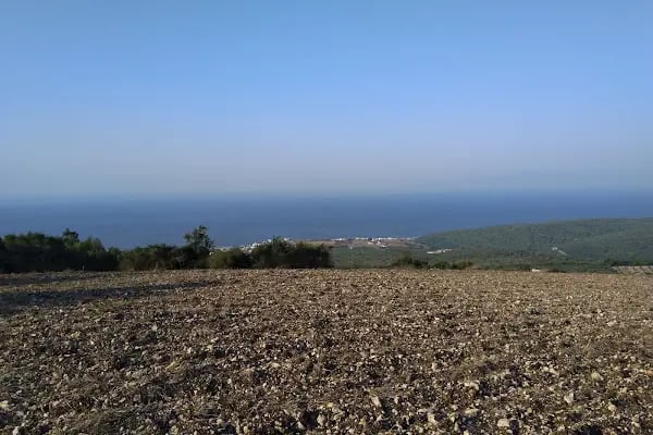 AYAZMA PLAJI - Resim 19