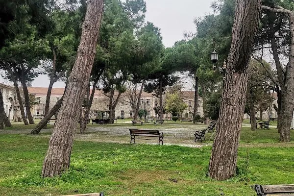 İstanbul Sabahattin Zaim Üniversitesi - Resim 19