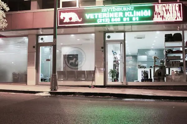 Zeytinburnu Veteriner Kliniği - Resim 5