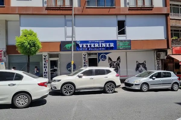 Zeytinburnu Veteriner Kliniği - Resim 8