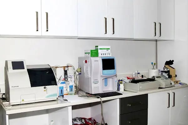 Zeytinburnu Veteriner Kliniği - Resim 7
