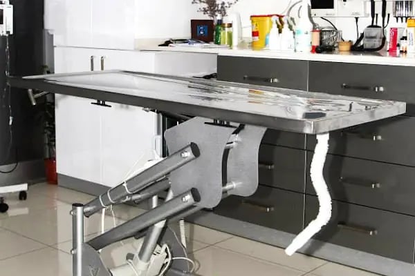 Zeytinburnu Veteriner Kliniği - Resim 16