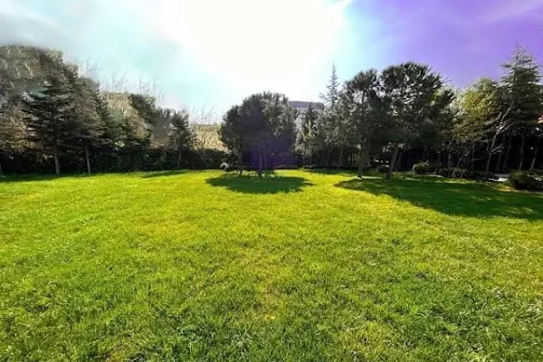 Delta Hotels Istanbul West - Resim 17