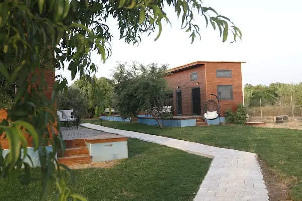 Olive -OrangeBungolow evleri - Resim 3