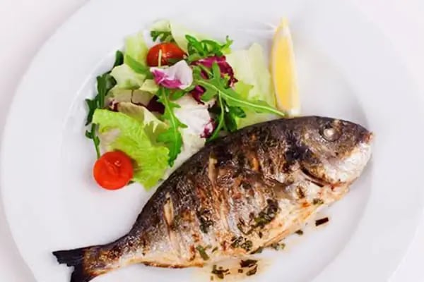 Taka Balık (Fish) - Resim 4
