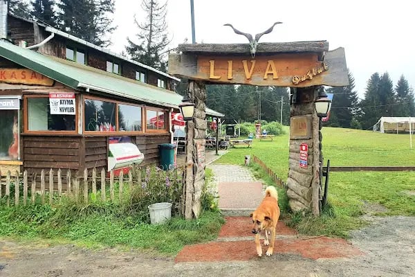 Liva Düzlük Et Balık Restaurant - Resim 9