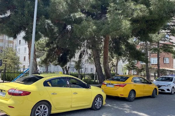 En Yakın Taksi - Resim 18