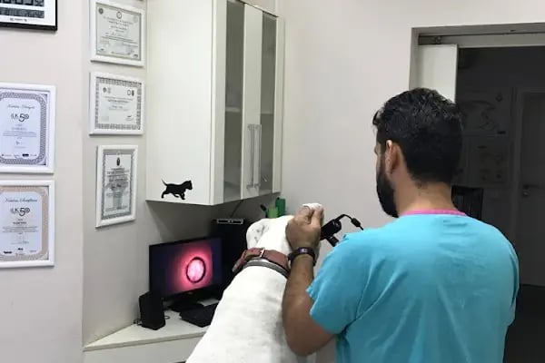 Bodrum Terapi Veteriner Polikliniği - Resim 11
