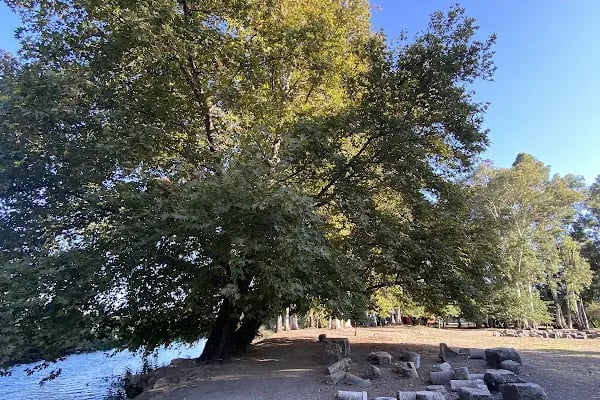 Havuzbaşı Cafe &amp; Bistro - Resim 19