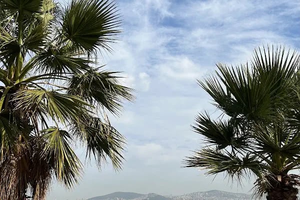 Kınalıada Halk Plajı - Resim 18