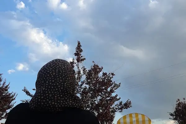 Peçenek Mesire Alanı - Resim 10