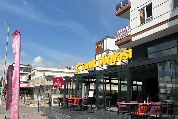 Tavuk Dünyası Döşemealtı Cadde - Resim 7