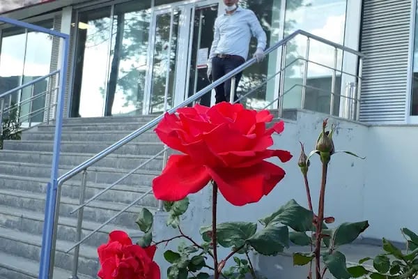 Ziraat Bankası Çermik/Diyarbakır Şubesi - Resim 1