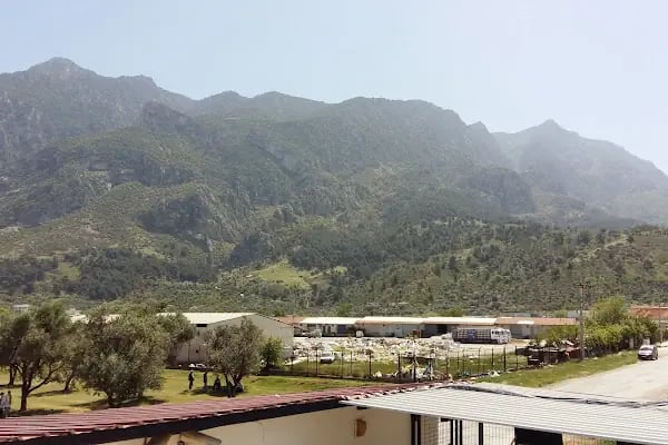 Mümin Özkasap Spor Tesisleri - Resim 6