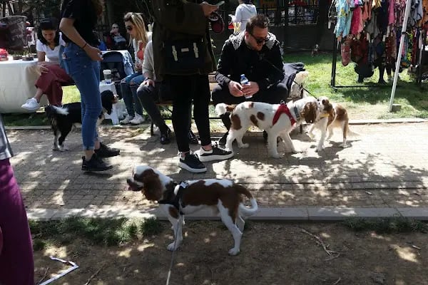 Ataşehir Köpek Parkı - Resim 12
