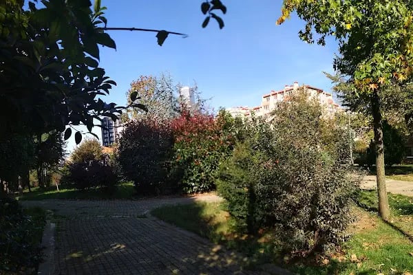 Ataşehir Köpek Parkı - Resim 2