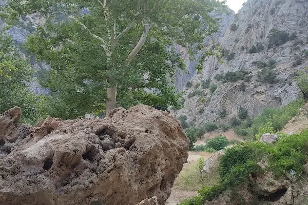 Savruk Mağarası ve Şelalesi - Resim 20