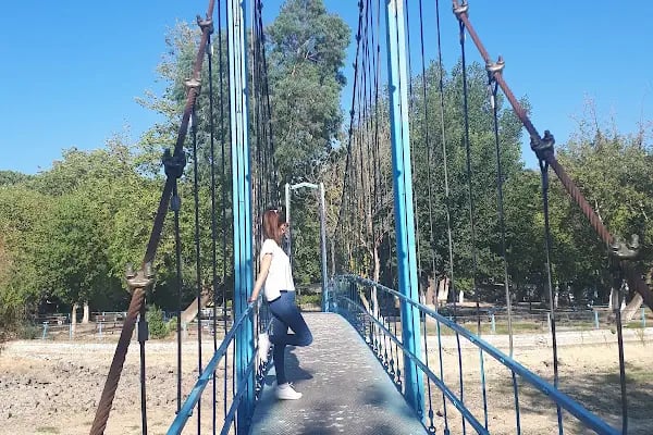 Adala Şelale Mesire Alanı - Resim 4