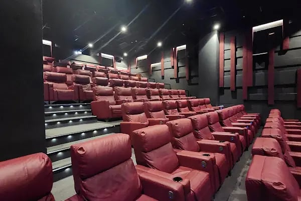 Cinematica - Resim 10