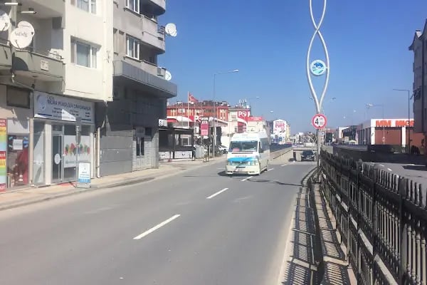 Mora Terapi Biorezonans Uzman Klinik Psikolog Erdinç Çilingir - Resim 9