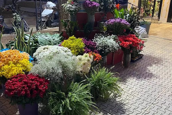 Konya Çiçekçi Orkide Çiçekçilik - Resim 13