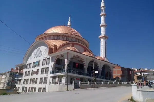 Hasköy Savaştepe Cami - Resim 1