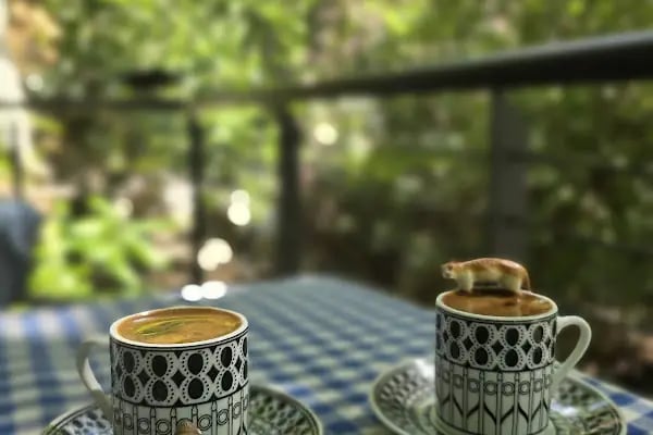 Manisa Tarihi kır kahvesi - Resim 15