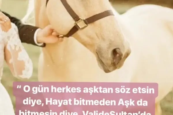 Valide Sultan Davet Salonları2 - Resim 7