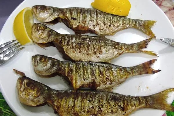 Gökdeniz Balık Restaurant - Resim 5