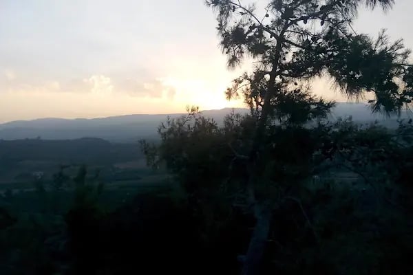 Nesli Bahar Düğün ve Toplantı Merkezi - Resim 19