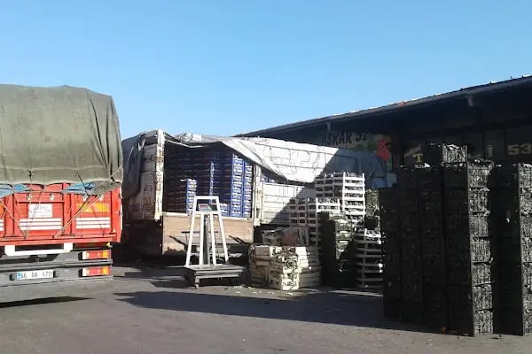 Ankara Büyükşehir Belediyesi Toptancı Hali - Resim 7