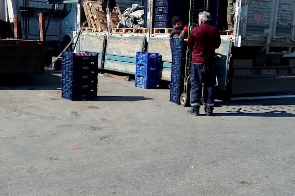 Ankara Büyükşehir Belediyesi Toptancı Hali - Resim 19
