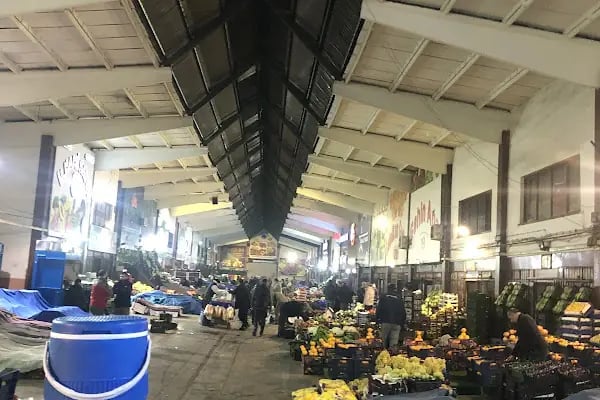 Ankara Büyükşehir Belediyesi Toptancı Hali - Resim 17