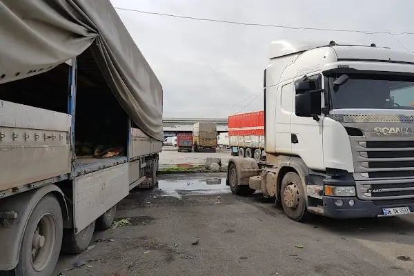 Ankara Büyükşehir Belediyesi Toptancı Hali - Resim 4