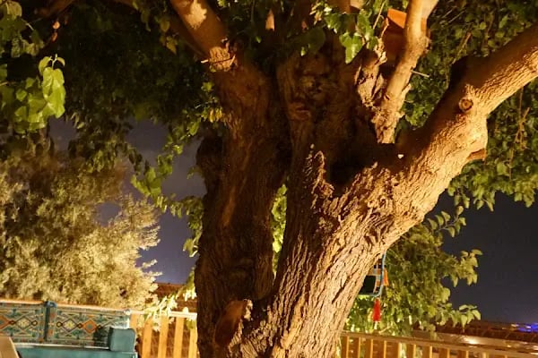 Taş Konak Butik Otel Bungalov - Resim 19