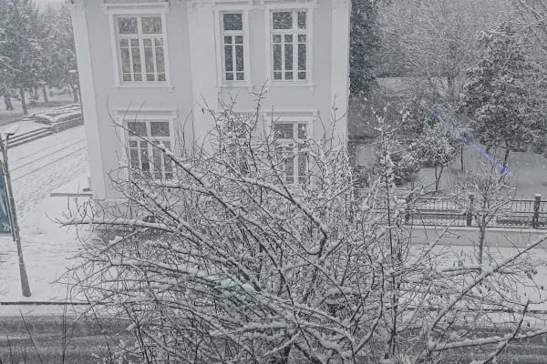 E İmza Sakarya - Resim 4