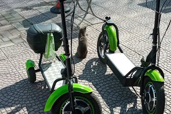 Elektrikli Bisiklet Kiti ve Dönüşüm Seti - Ebike Teknik Servis - Hub Motor - Resim 19