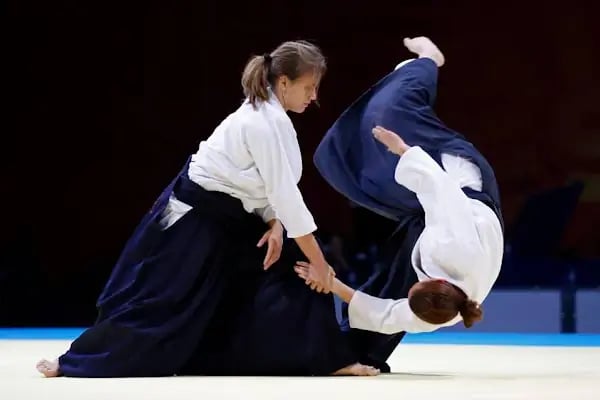 Dragon Aikido Akademi /Beykent-Beylikdüzü - Resim 20