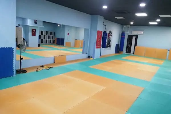 Dragon Aikido Akademi /Beykent-Beylikdüzü - Resim 4