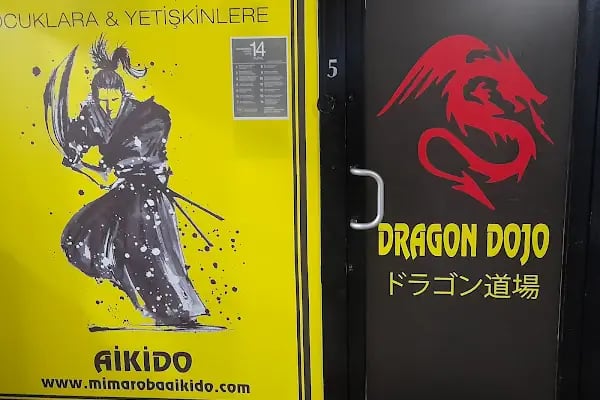 Dragon Aikido Akademi /Beykent-Beylikdüzü - Resim 11
