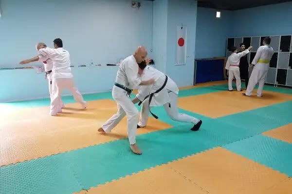 Dragon Aikido Akademi /Beykent-Beylikdüzü - Resim 3