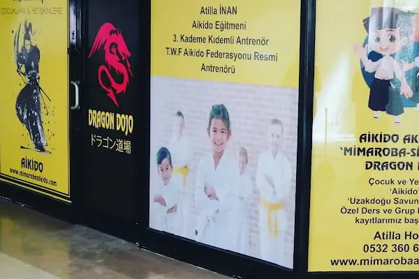 Dragon Aikido Akademi /Beykent-Beylikdüzü - Resim 14