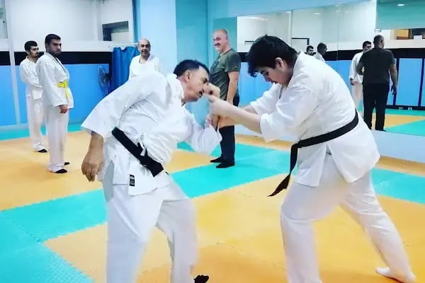 Dragon Aikido Akademi /Beykent-Beylikdüzü - Resim 6