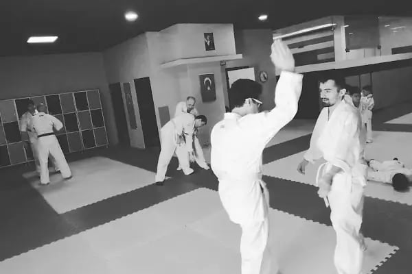 Dragon Aikido Akademi /Beykent-Beylikdüzü - Resim 9