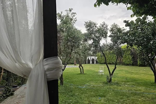 Levanten Event &amp; Organizasyon - Resim 8