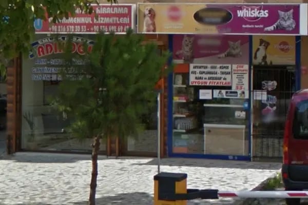İçerenköy Petshop - Resim 15