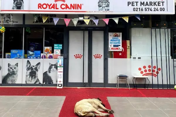 İçerenköy Petshop - Resim 20