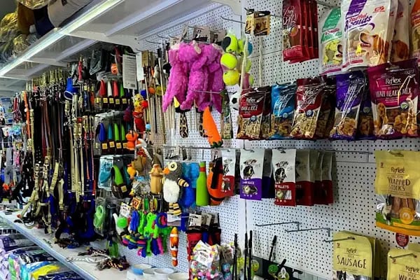 İçerenköy Petshop - Resim 5