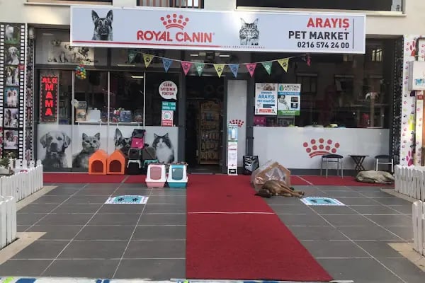 İçerenköy Petshop - Resim 8