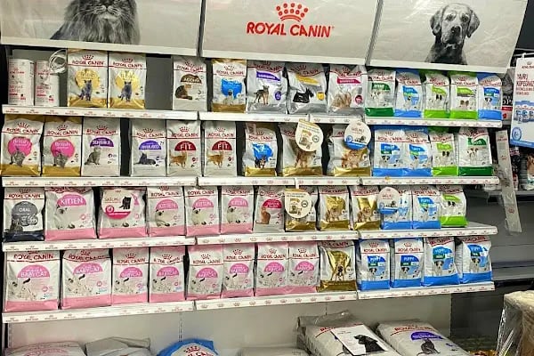 İçerenköy Petshop - Resim 3